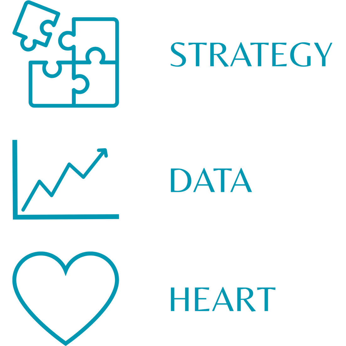 Strategy, Data, and Heart- Burgan Advancement Consulting image depicting simple graphics of puzzle pieces fitting together, a line chart, and a heart